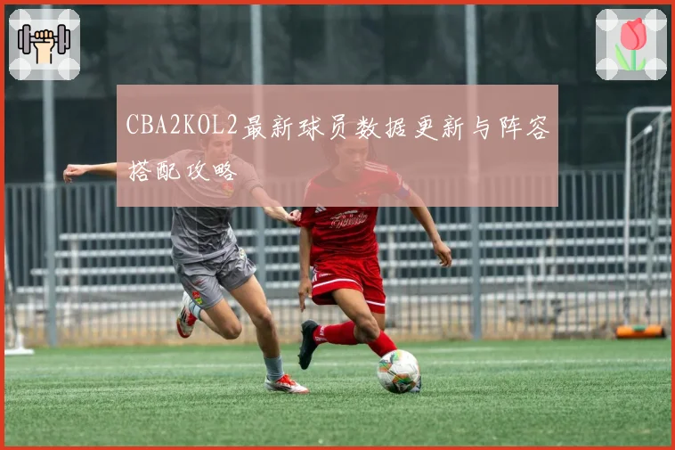 CBA2KOL2最新球员数据更新与阵容搭配攻略