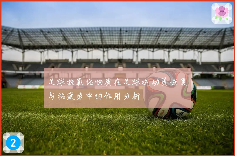 足球抗氧化物质在足球运动员恢复与抗疲劳中的作用分析