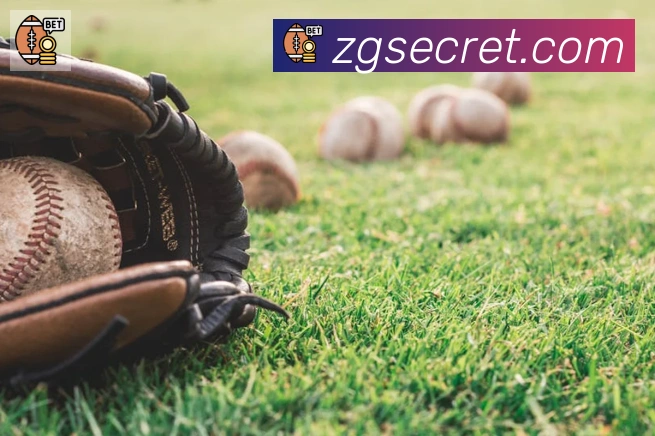 开云appAPP 封面图