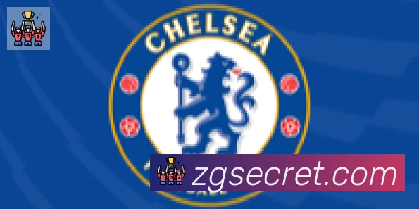 开云app合作伙伴