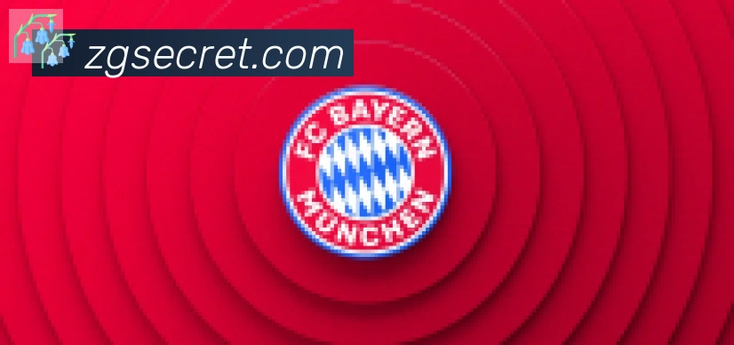 开云app合作伙伴