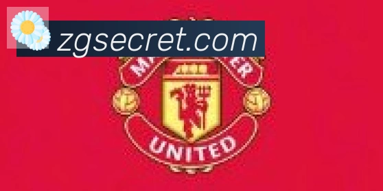 开云app合作伙伴