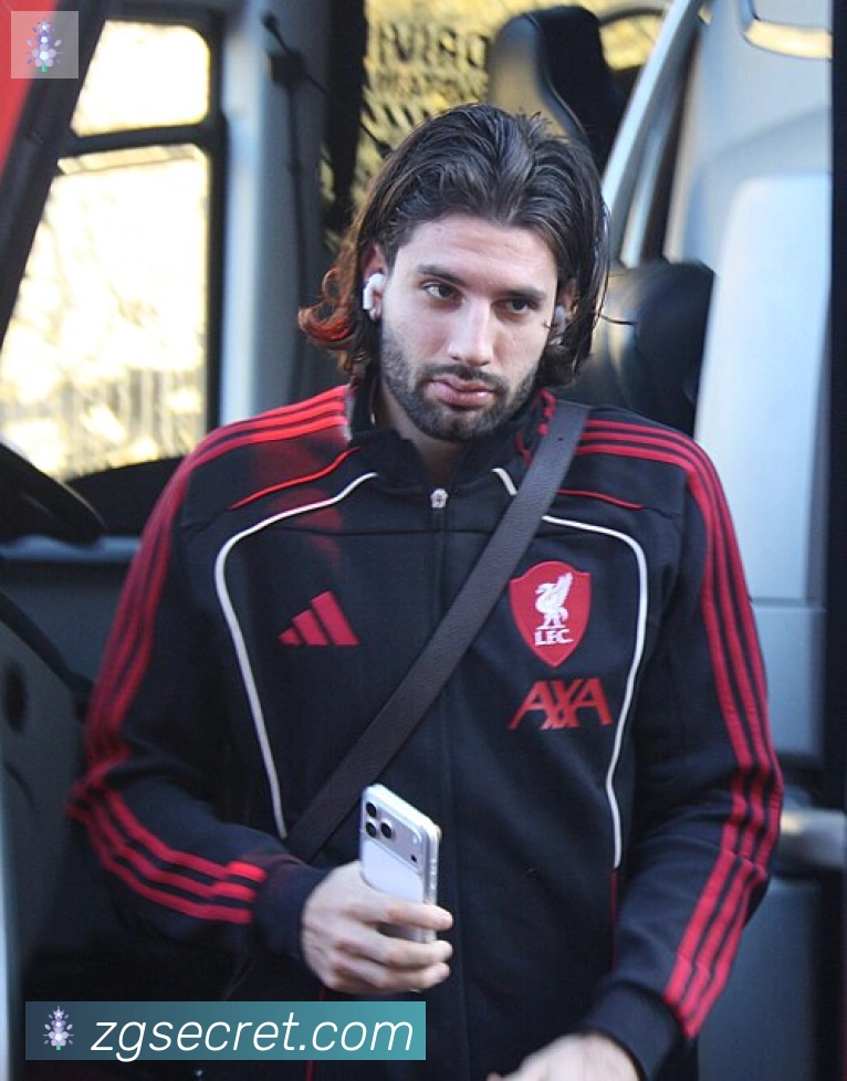 阿什拉夫·哈基米